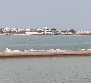 Ausblick Museumsterrasse