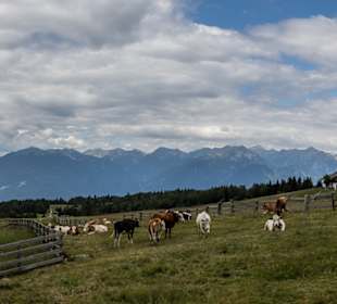 Wandern Luson / Lüsen