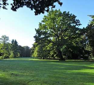 Spaziergang durch den Stadtpark Lübeck