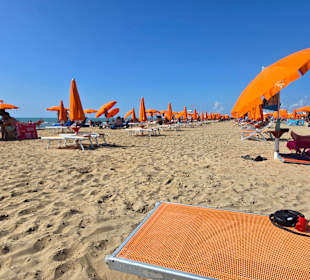 Blick auf die Gegend