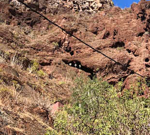 Inseltour Romántica Alltours