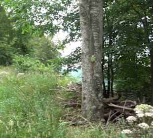 Hochgeträumt Premiumwanderung