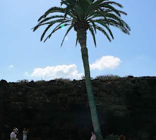 Jameos del Agua