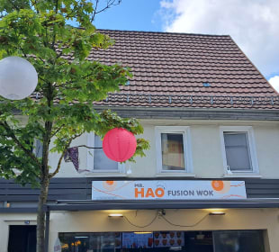 Mr. Hao Fusion Wok in Metzingen