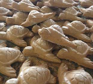 Tonschildkröten Rabil