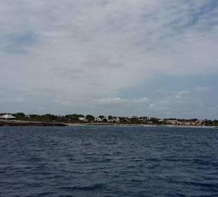 Cala´n Bosch