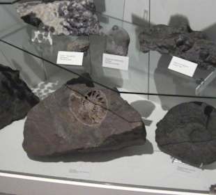 Diese Steine kann man kaufen!