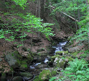 Windbergwasserfall