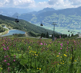 Wandern Fügen (Zillertal)