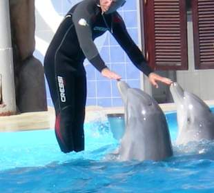 Tony mit seinen  Delfinen