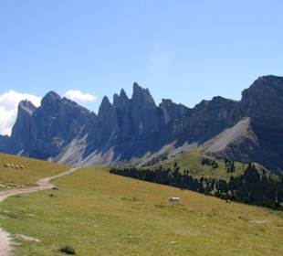 Wanderung zur Brogles Hütte