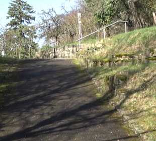 Hirschauer Spitzbergwegle (Premiumspazierwanderweg