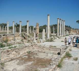 Das Gymnasium in Salamis
