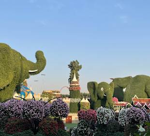 Dubai Miracle Garden