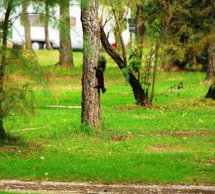 Am Ende von Bibione Yachthafengebiet