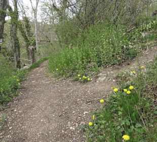 Wanderweg Hochgehswiggert
