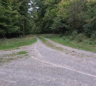 Altwege Rundwanderung Bebenhausen