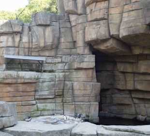 Tierpark Hagenbeck