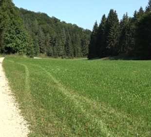 Premiumwanderweg "hochgesprudelt"