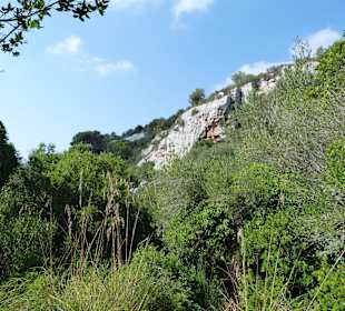 Landschaft
