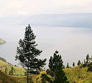 Blick auf den Toba See