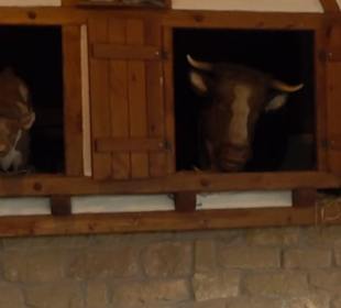 Erlebnispark Tripsdrill