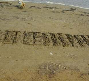 Strand von Bibione 06-2010
