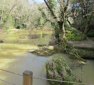 Als Park angelegt, toll.