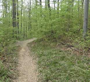 Wanderweg Firstwaldrunde