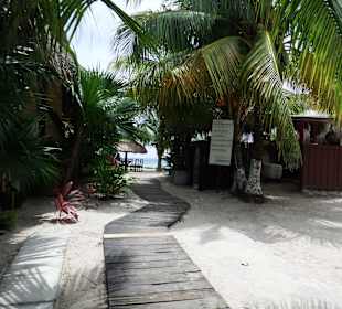 Mittagessen im Strandclub
