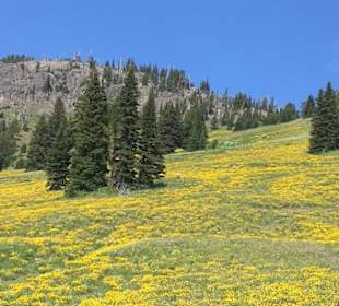 Unterwegs zum Lamer Valley