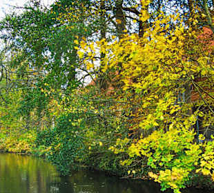 Парк Замка Ойтин.Золотая осень.