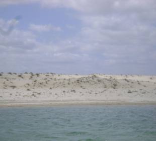 Buggy tour lagoa de paraiso