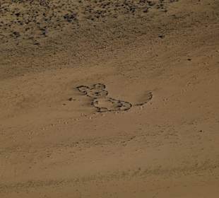 Bei Costa Calma / Windsurfing 