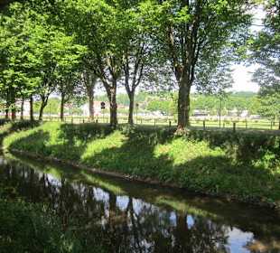 Platanenallee Zweibrücken