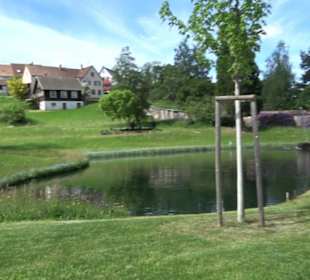 Kurpark Klosterreichenbach