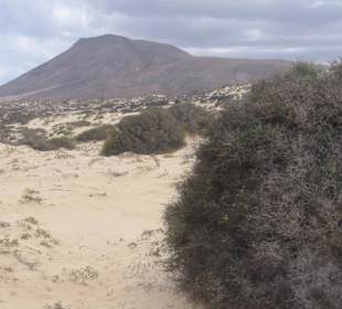 Parque Natural de las Dunas de Corralejo 