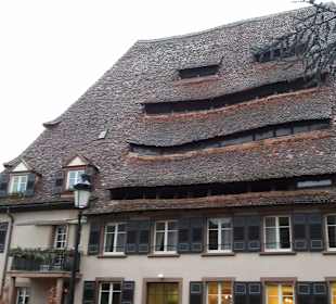 Grenzüberschreitender Rundweg durch die Weinberge