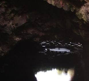 Blick auf den Konzertbereich