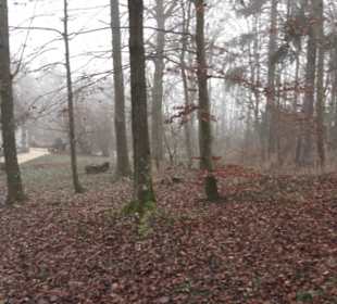 Wallfahrtskirche Maria Buch