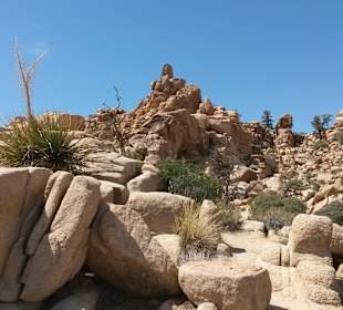 Joshua Tree National Park