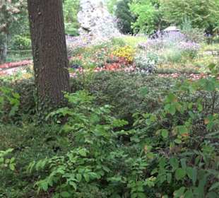 Erlebnispark Tripsdrill