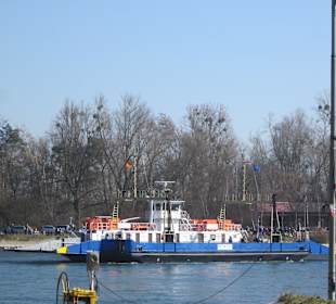 Die Rheinfähre Leimersheim