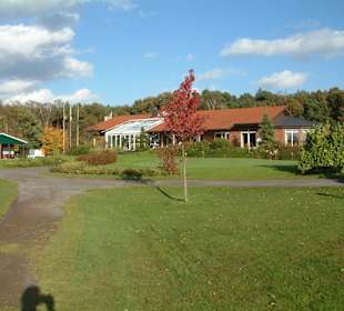 Blick auf das Vereinshäuschen vom Platz aus.