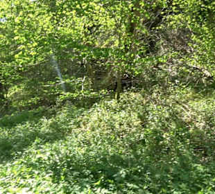 Premiumwanderweg Hochgehschätzt