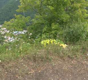 Burg Alt-Lichtenstein