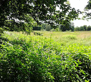 Unterwegs auf dem Huntepadd