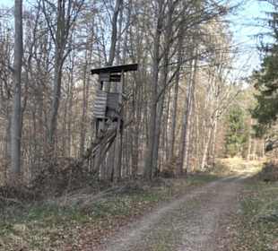 Geologischer Lehrpfad Kirnbachtal
