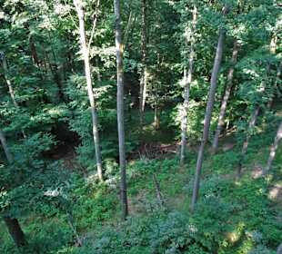 Blick aus der Höhe des Pfades