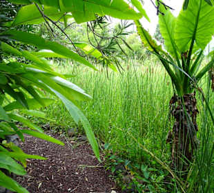 Rundgang durch den Jardin d´Eden